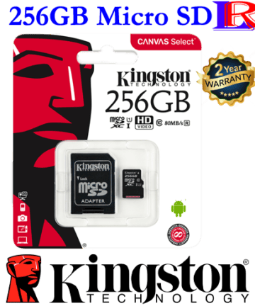 Kingston 256gb micro sd memory card