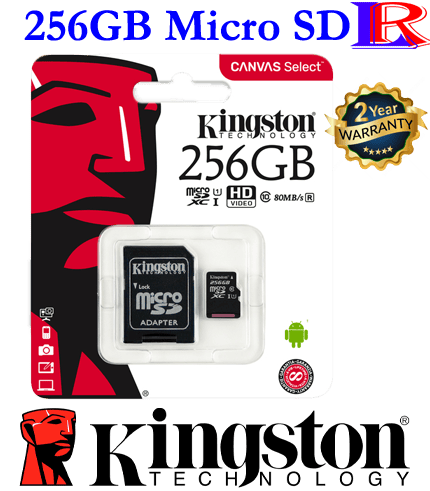 Kingston 256gb micro sd memory card