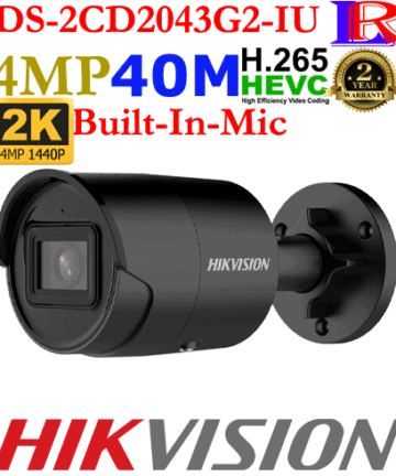 Hikvision 2 line 4mp face detection camera DS-2CD2043G2-IU