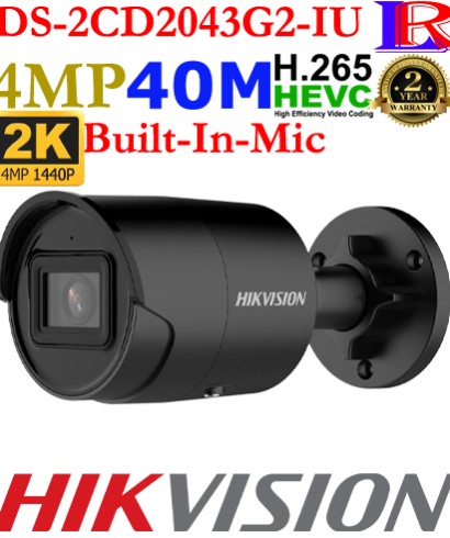 Hikvision 2 line 4mp face detection camera DS-2CD2043G2-IU