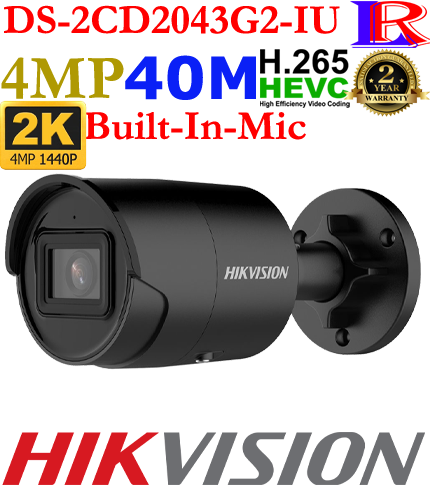 Hikvision 2 line 4mp face detection camera DS-2CD2043G2-IU